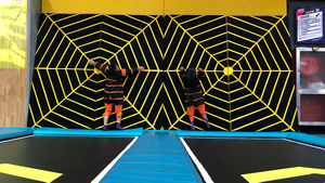 स्पाइडर-वॉल